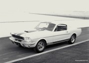 Shelby GT350 Shelby GT350